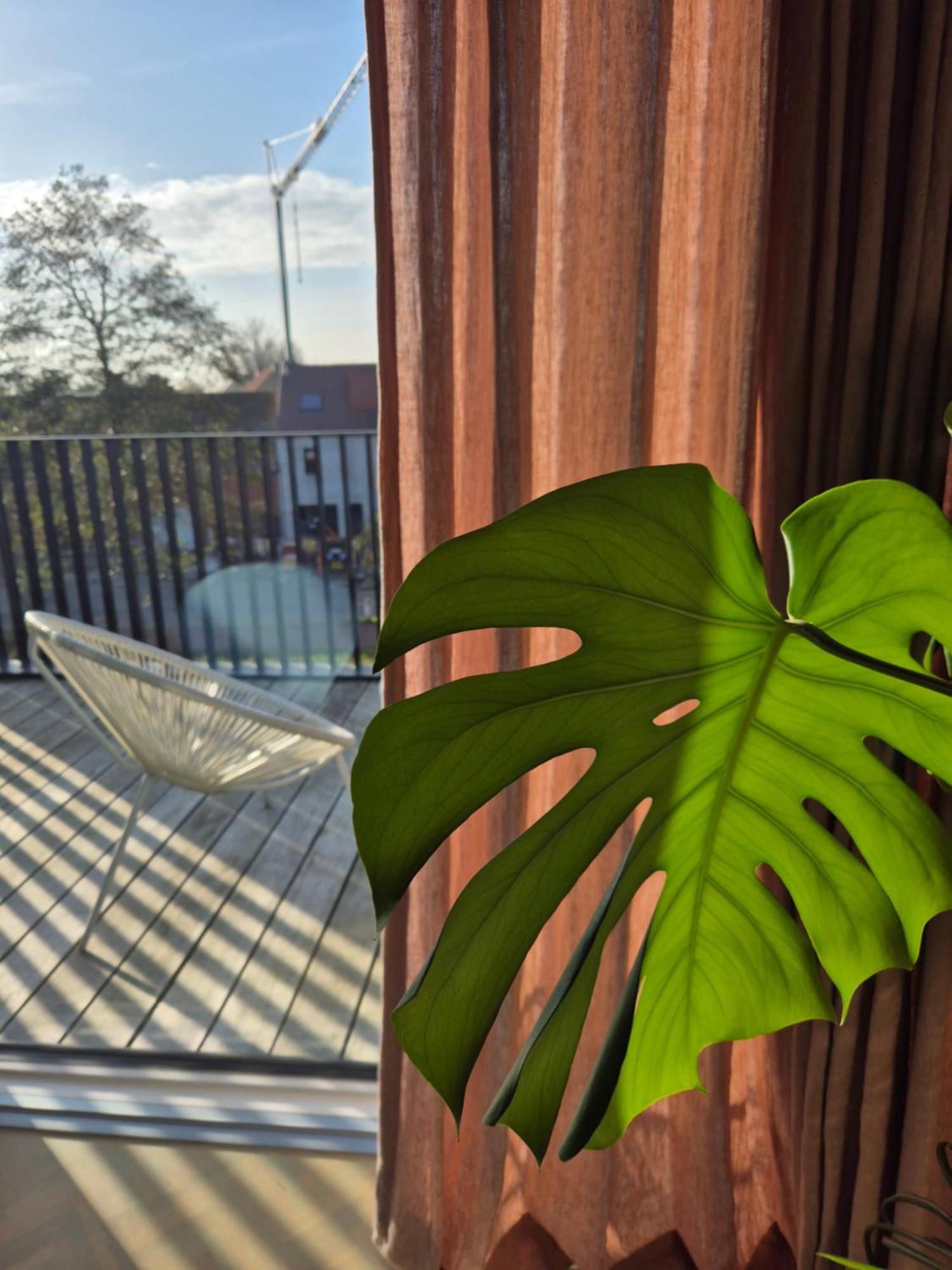 Julie'S Appartement Aan Zee - Jaaz Nieuwpoort Kültér fotó